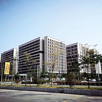 广州市花都区绿地空港中心公寓出租出售