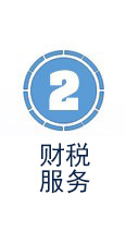 财税代理服务